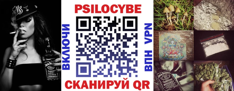 цена   Алексеевка  Псилоцибиновые грибы Psilocybe 